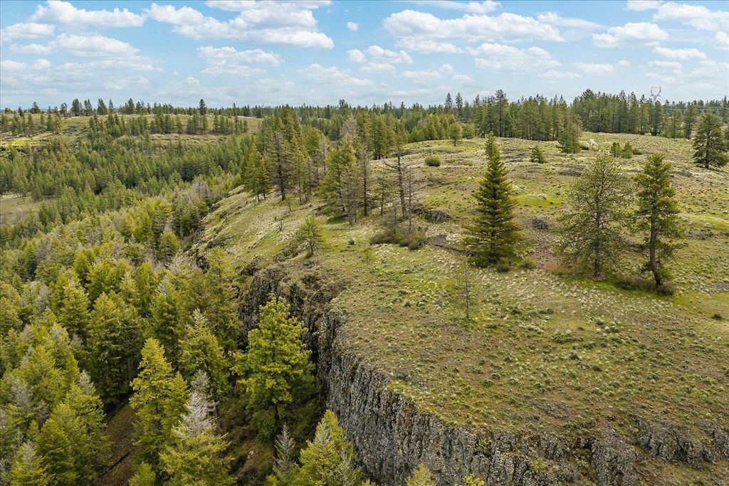 Tract 231 Hawk Creek, Davenport, WA 99122 photo 2