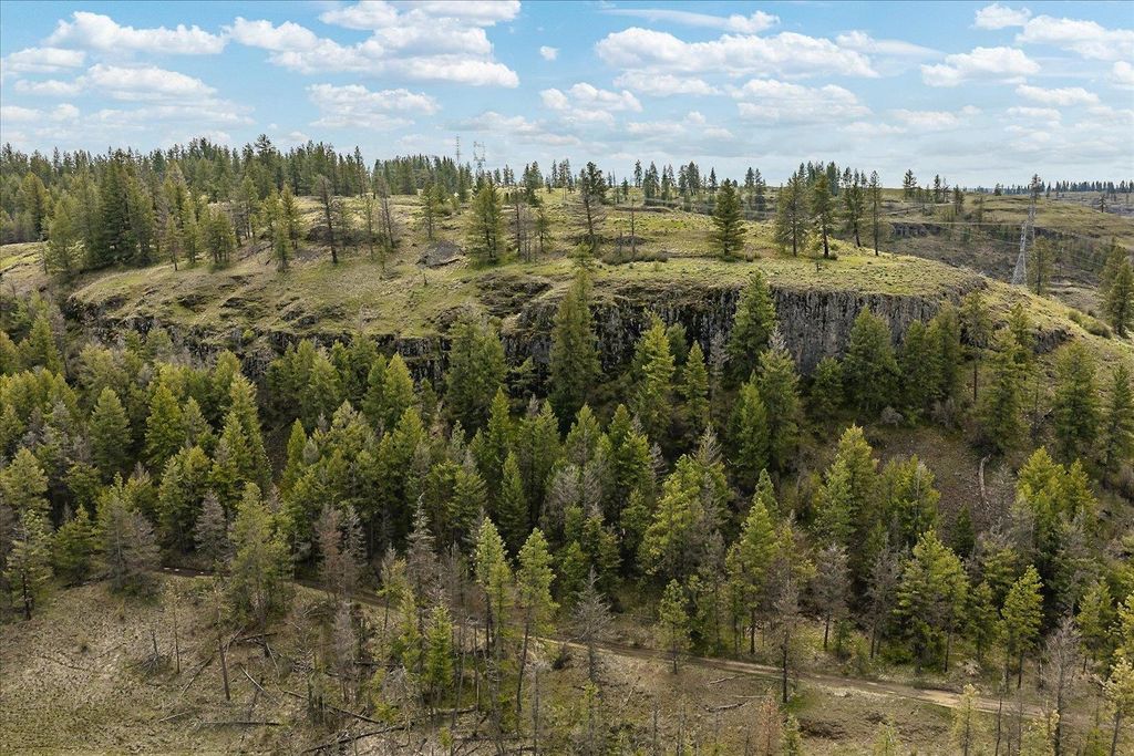 Tract 231 Hawk Creek, Davenport, WA 99122 photo 11