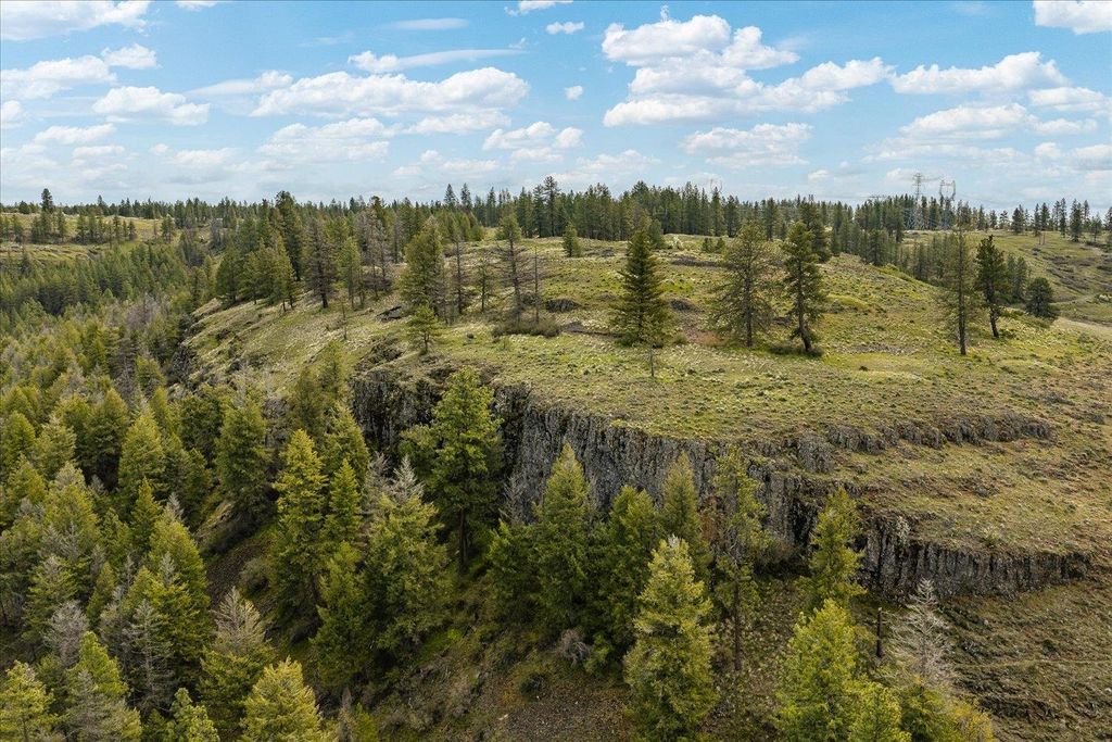 Tract 231 Hawk Creek, Davenport, WA 99122 photo 12