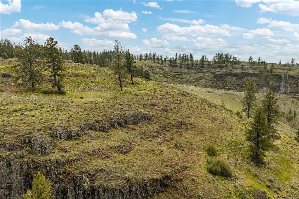 Tract 231 Hawk Creek, Davenport, WA 99122 photo 14