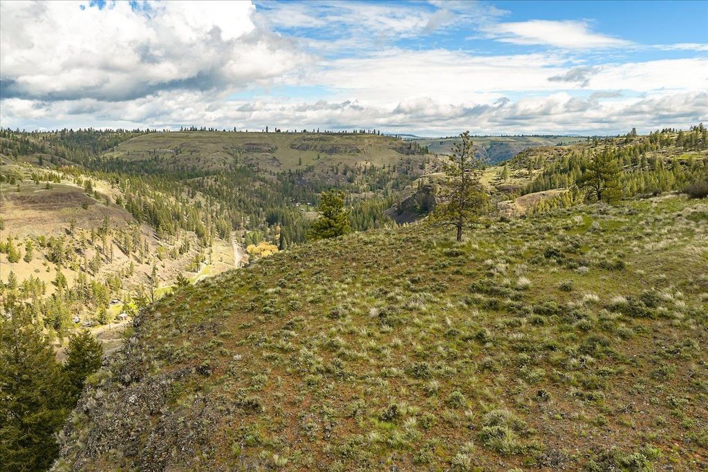 Tract 231 Hawk Creek, Davenport, WA 99122 photo 15