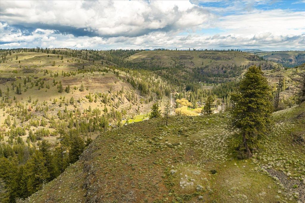 Tract 231 Hawk Creek, Davenport, WA 99122 photo 16