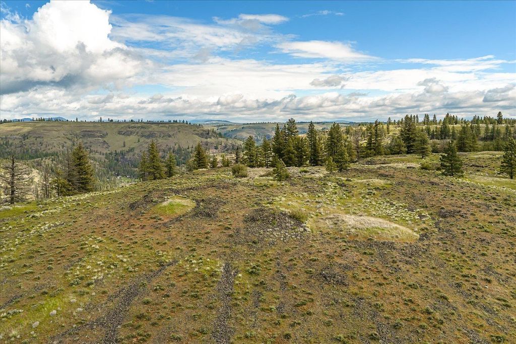 Tract 231 Hawk Creek, Davenport, WA 99122 photo 17