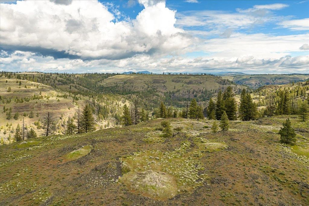 Tract 231 Hawk Creek, Davenport, WA 99122 photo 18