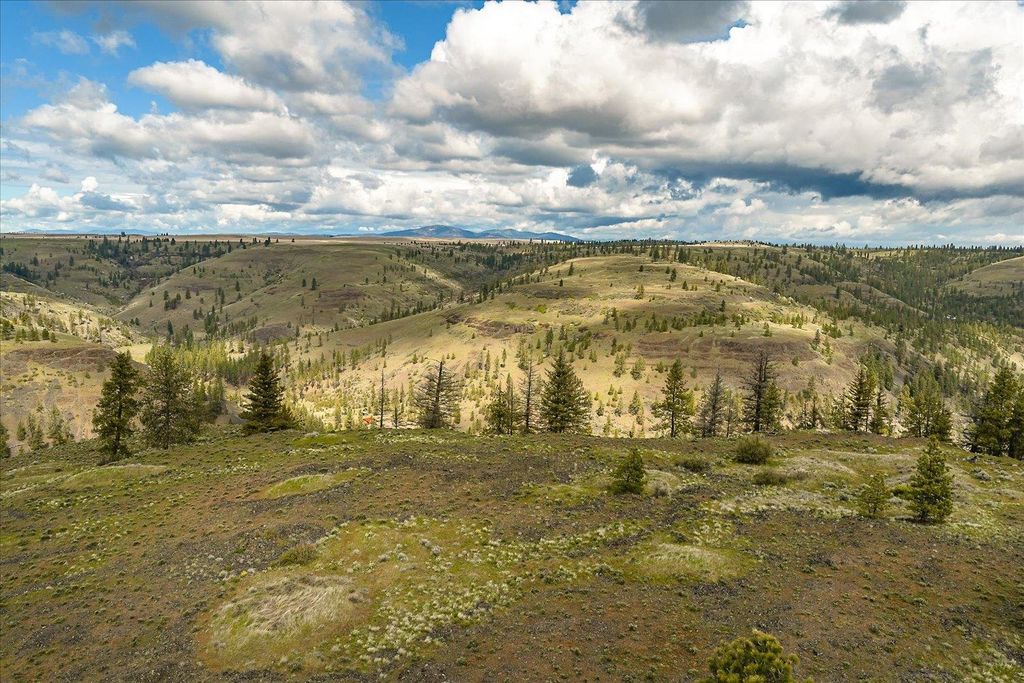 Tract 231 Hawk Creek, Davenport, WA 99122 photo 19