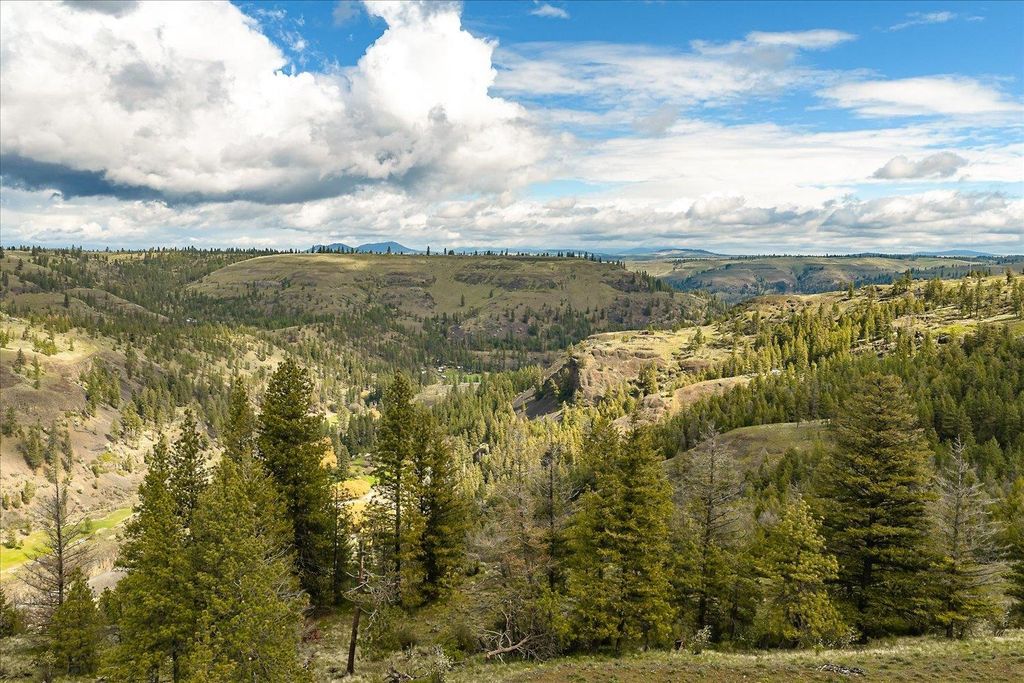 Tract 231 Hawk Creek, Davenport, WA 99122 photo 20