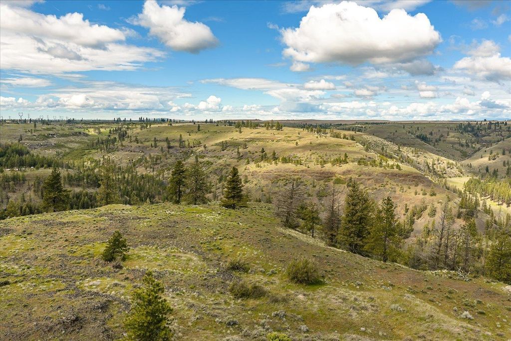 Tract 231 Hawk Creek, Davenport, WA 99122 photo 21