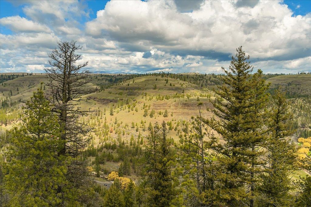 Tract 231 Hawk Creek, Davenport, WA 99122 photo 22