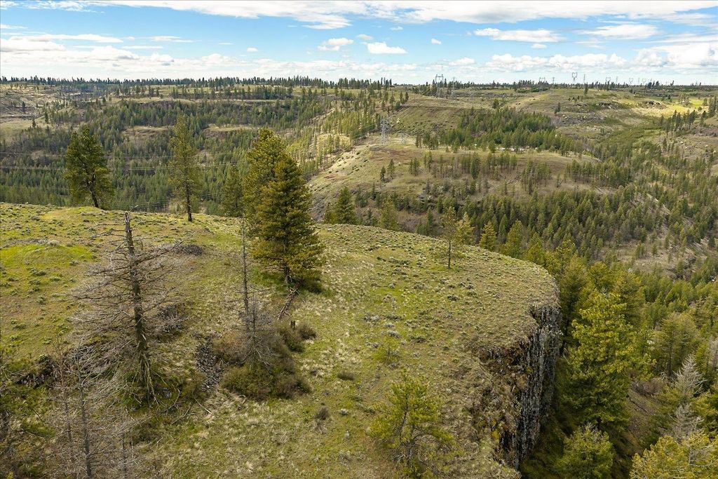 Tract 231 Hawk Creek, Davenport, WA 99122 photo 24