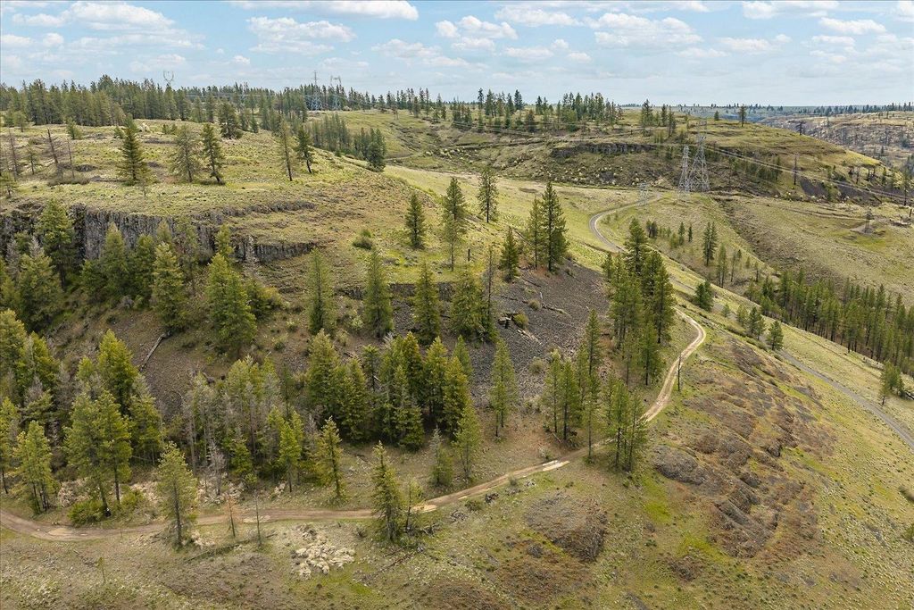 Tract 231 Hawk Creek, Davenport, WA 99122 photo 25