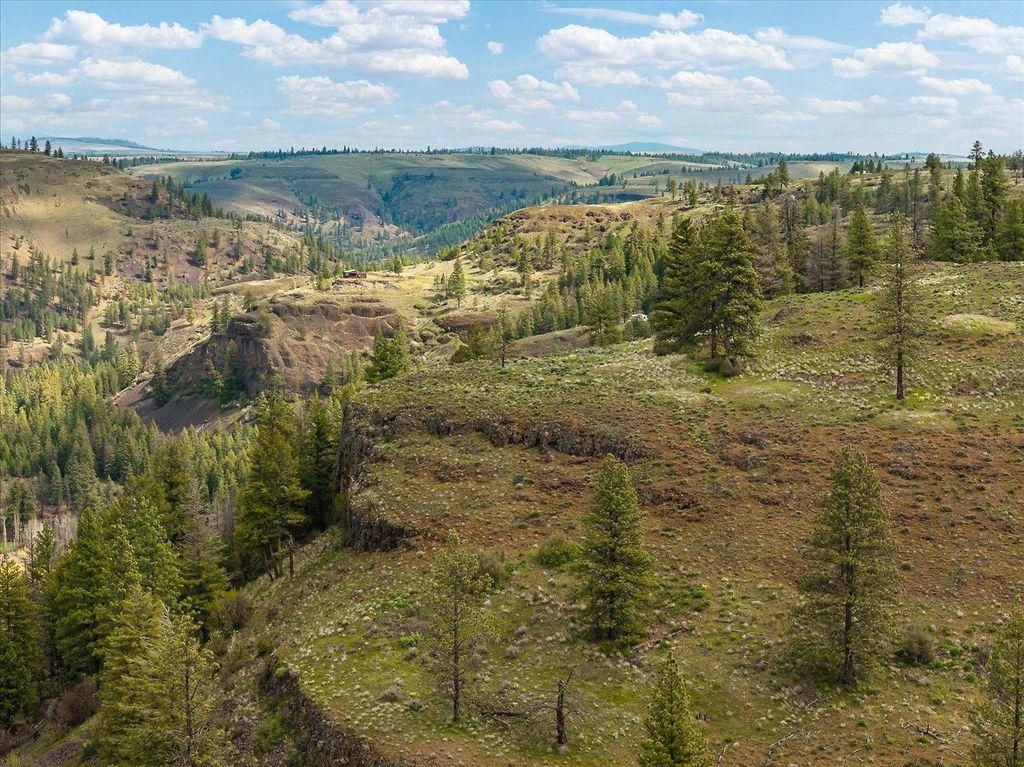 Tract 231 Hawk Creek, Davenport, WA 99122 photo 27