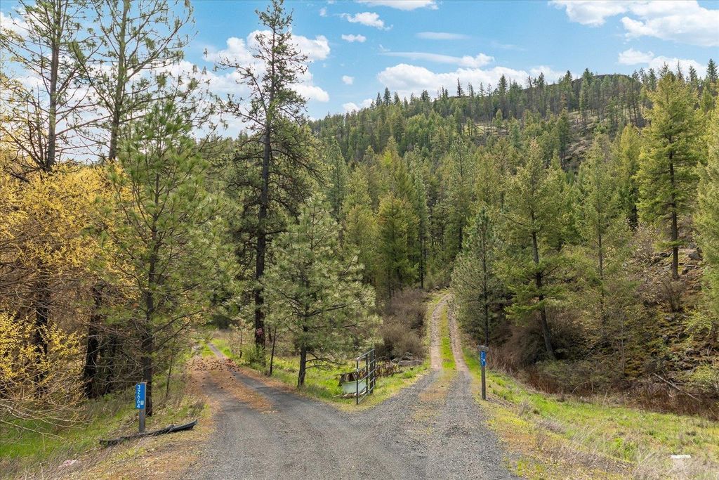 Tract 231 Hawk Creek, Davenport, WA 99122 photo 4