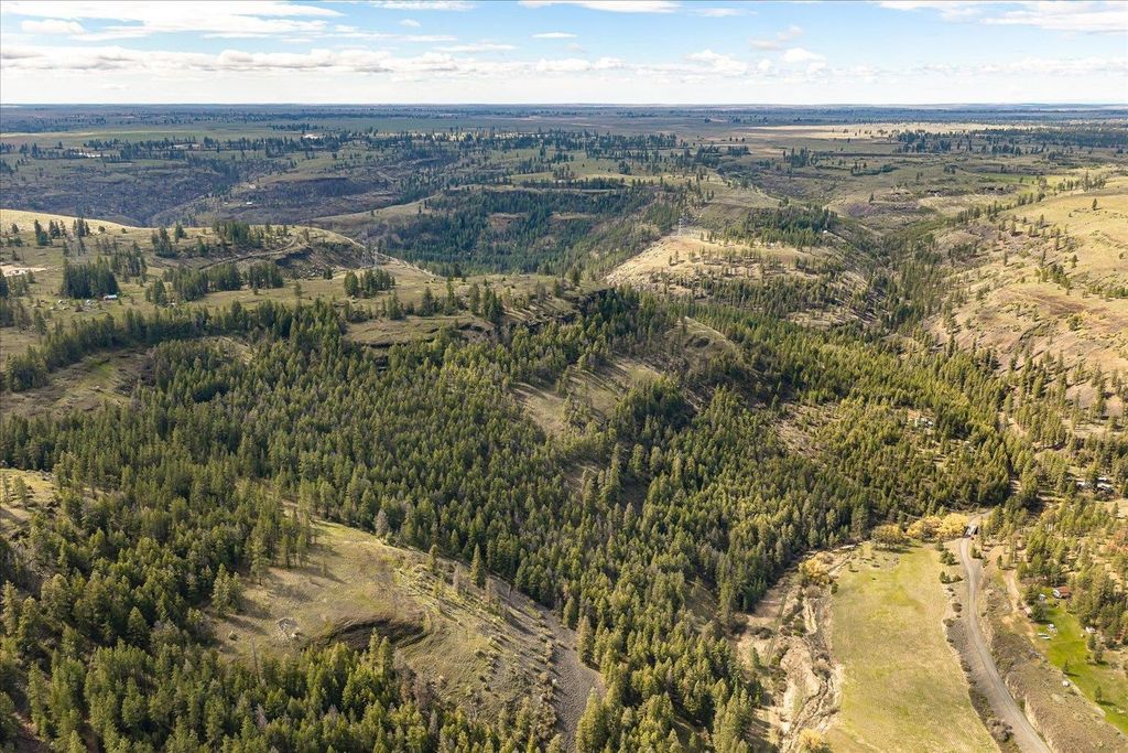 Tract 231 Hawk Creek, Davenport, WA 99122 photo 38