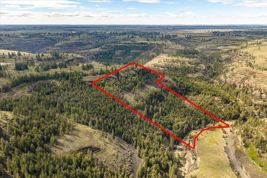 Tract 231 Hawk Creek, Davenport, WA 99122 photo 39