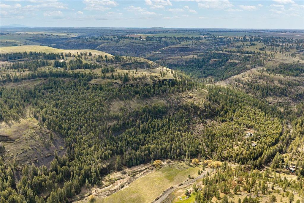 Tract 231 Hawk Creek, Davenport, WA 99122 photo 40