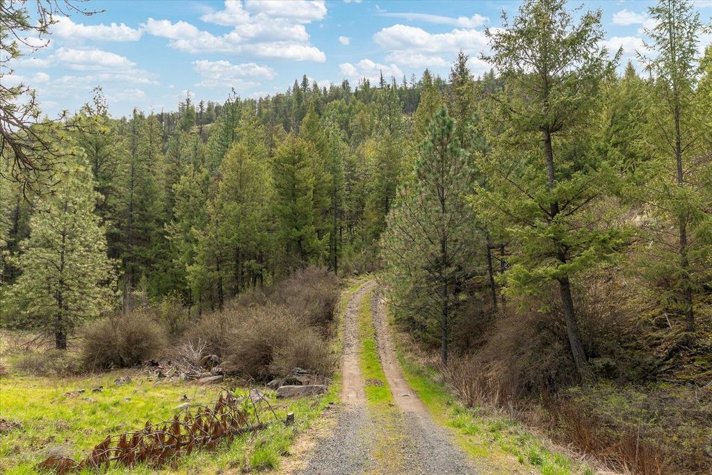 Tract 231 Hawk Creek, Davenport, WA 99122 photo 5