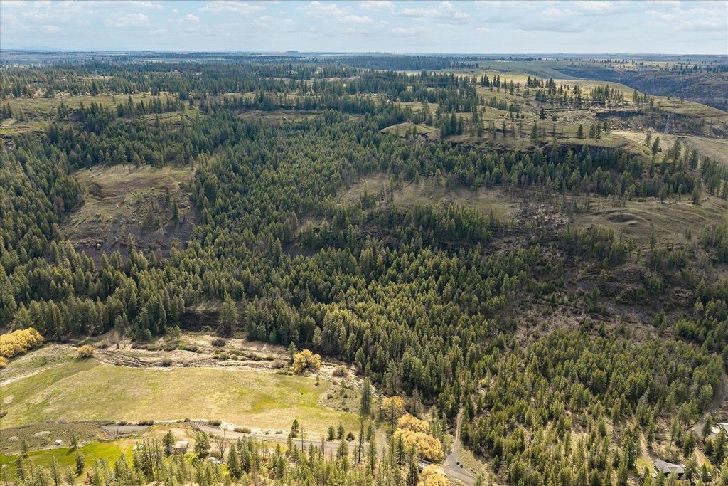 Tract 231 Hawk Creek, Davenport, WA 99122 photo 41