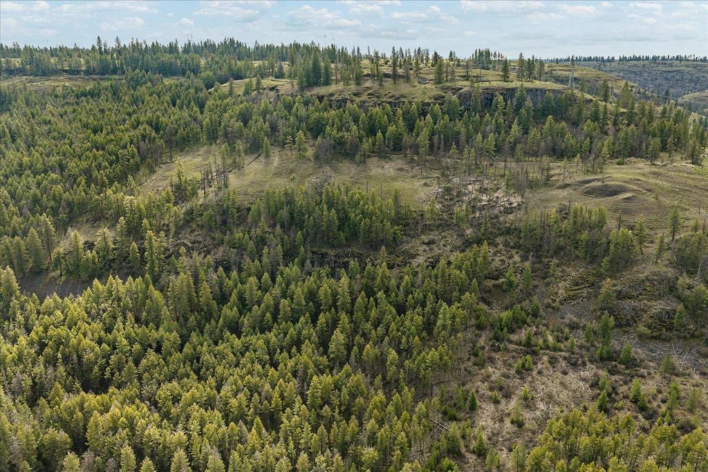 Tract 231 Hawk Creek, Davenport, WA 99122 photo 44