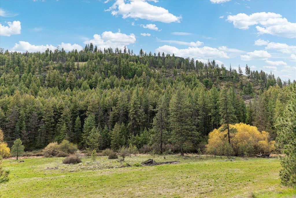 Tract 231 Hawk Creek, Davenport, WA 99122 photo 6