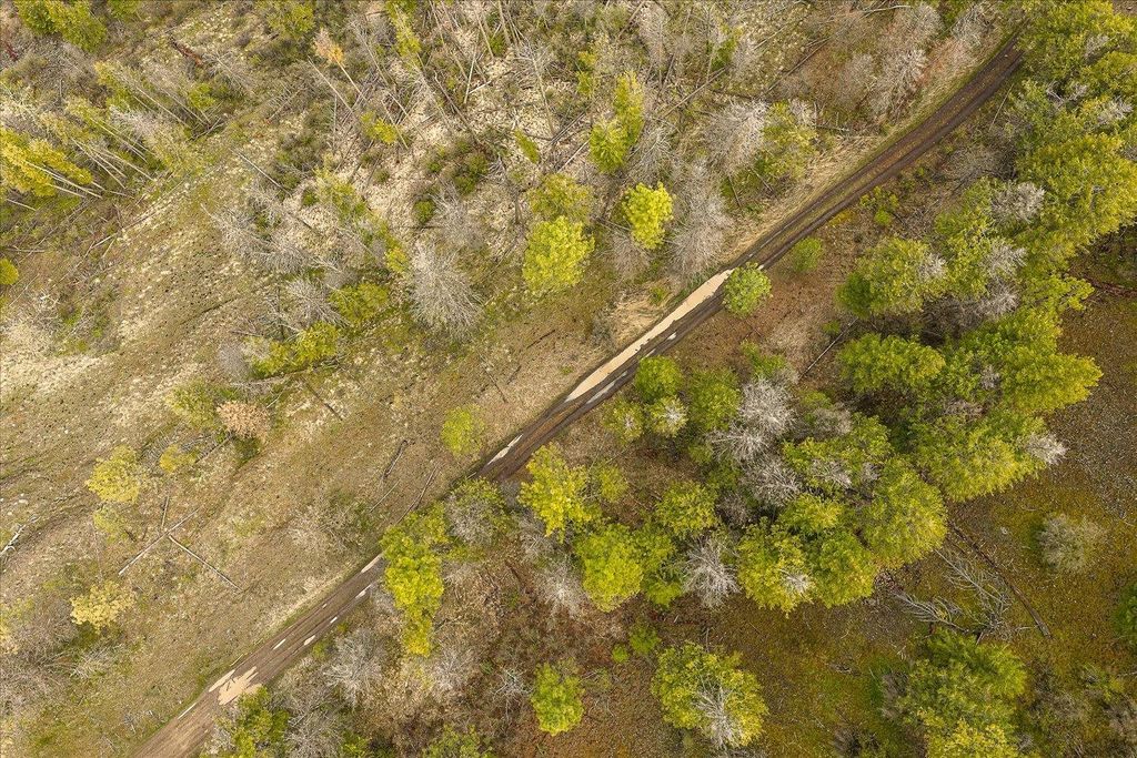 Tract 231 Hawk Creek, Davenport, WA 99122 photo 7