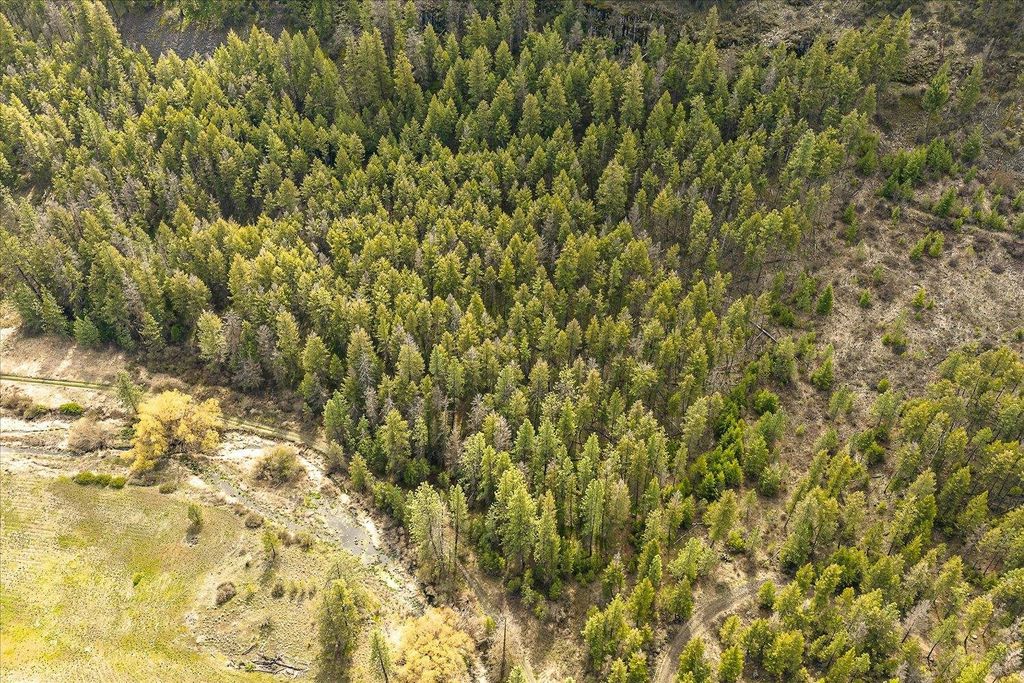 Tract 231 Hawk Creek, Davenport, WA 99122 photo 8