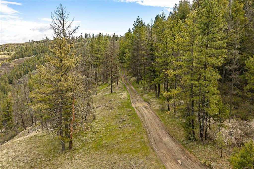 Tract 231 Hawk Creek, Davenport, WA 99122 photo 9