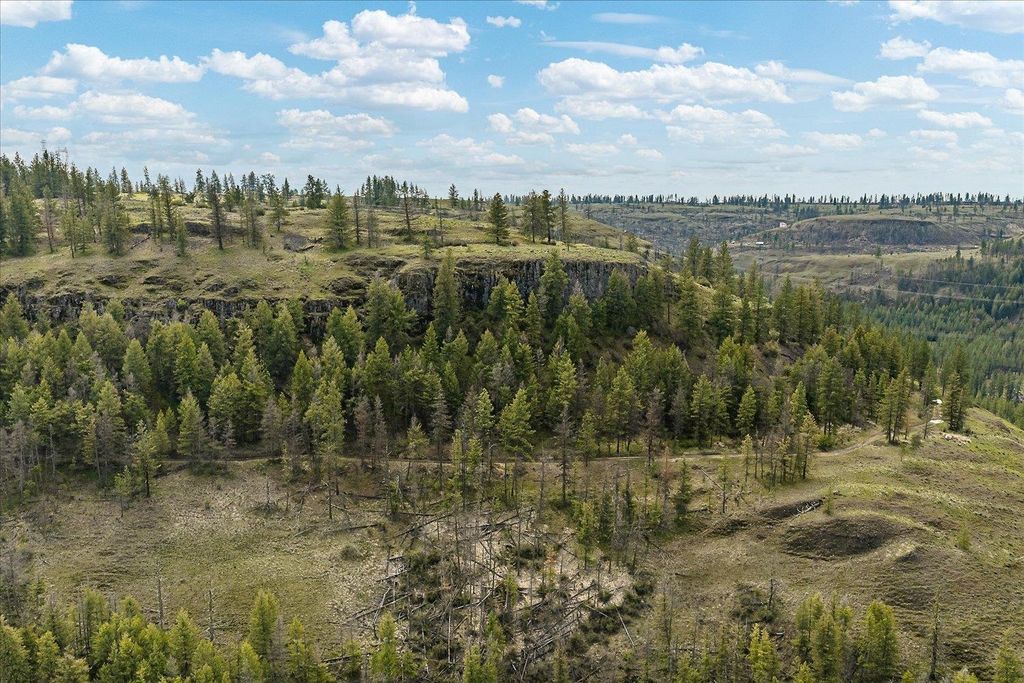 Tract 231 Hawk Creek, Davenport, WA 99122 photo 10