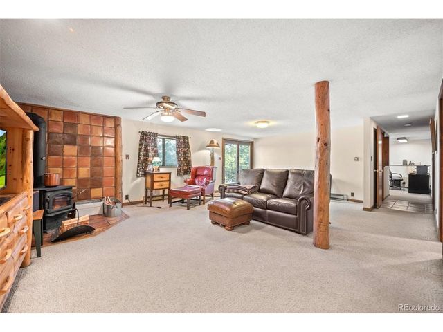 65 Doe Cir, Bailey, CO 80421