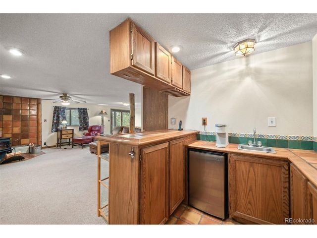 65 Doe Cir, Bailey, CO 80421
