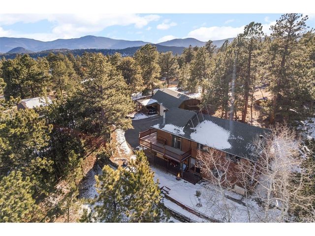 65 Doe Cir, Bailey, CO 80421