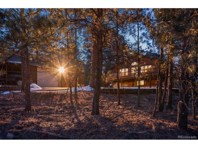 65 Doe Cir, Bailey, CO 80421