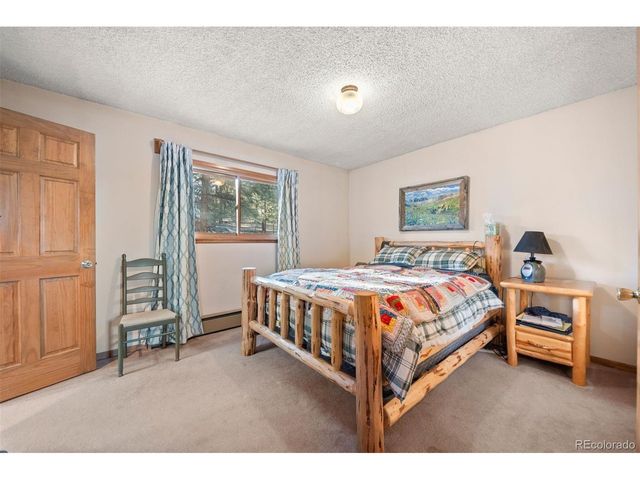 65 Doe Cir, Bailey, CO 80421