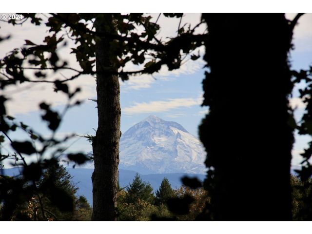 41057 Se Vista Loop Dr, Sandy, OR 97055