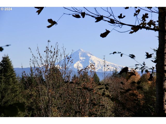 41057 Se Vista Loop Dr, Sandy, OR 97055