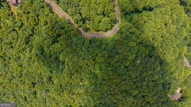 LOT 274 Andes Ridge, Ellijay, GA 30540