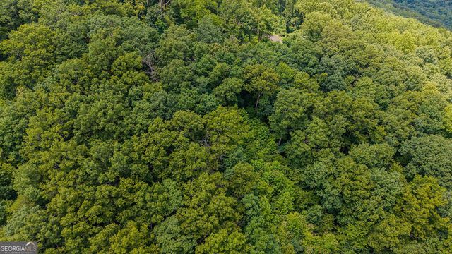 LOT 274 Andes Ridge, Ellijay, GA 30540