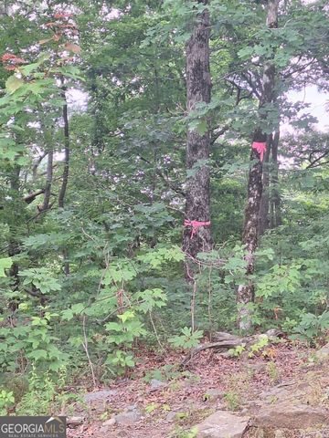 LOT 274 Andes Ridge, Ellijay, GA 30540