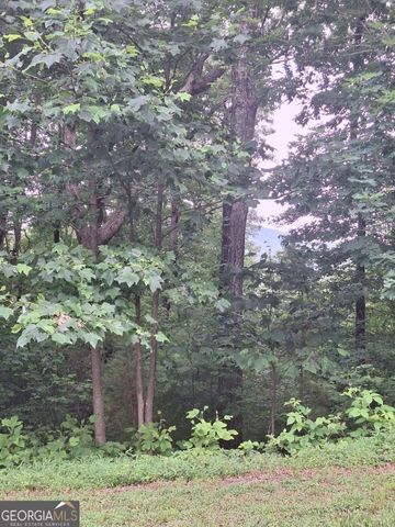 LOT 274 Andes Ridge, Ellijay, GA 30540