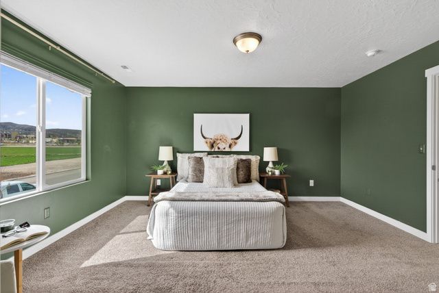 563 N WILLOW SPRINGS AVE, Lehi, UT 84048