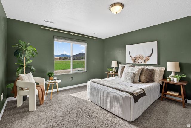 563 N WILLOW SPRINGS AVE, Lehi, UT 84048