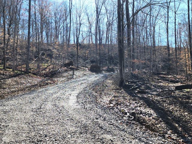 Lot 5 Goat Hollow Estates, Martinsville, IN 46151