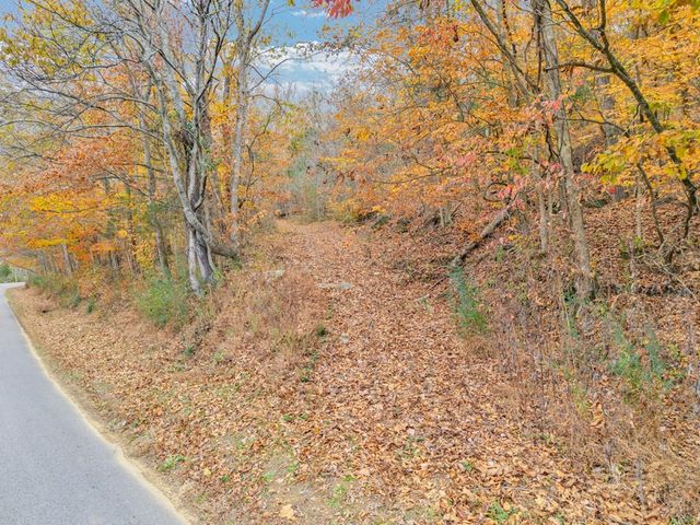 0 Ensor Hollow Rd, Buffalo Valley, TN 38548