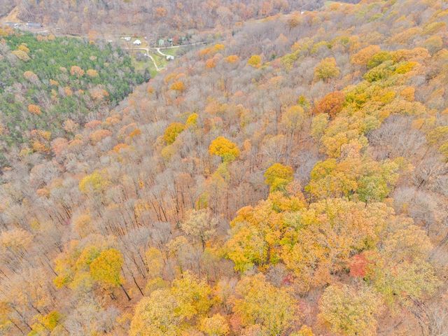 0 Ensor Hollow Rd, Buffalo Valley, TN 38548