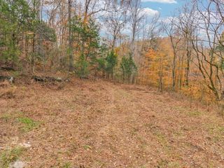 0 Ensor Hollow Rd, Buffalo Valley, TN 38548