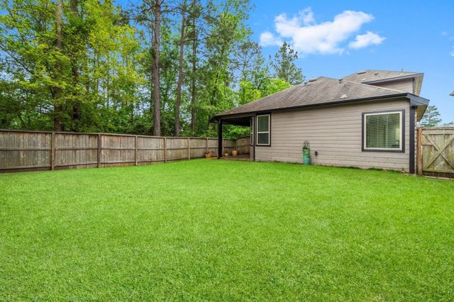 113 Logan Pass Court, Montgomery, TX 77316