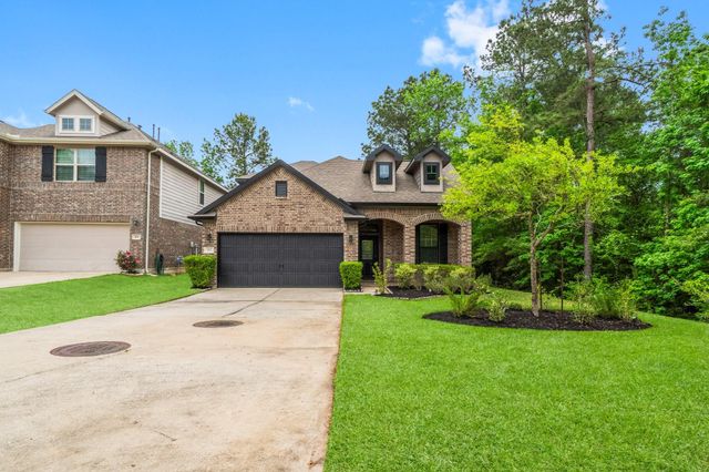 113 Logan Pass Court, Montgomery, TX 77316