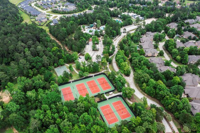113 Logan Pass Court, Montgomery, TX 77316
