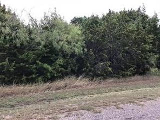 12015 Trailwood Drive, Whitney, TX 76692
