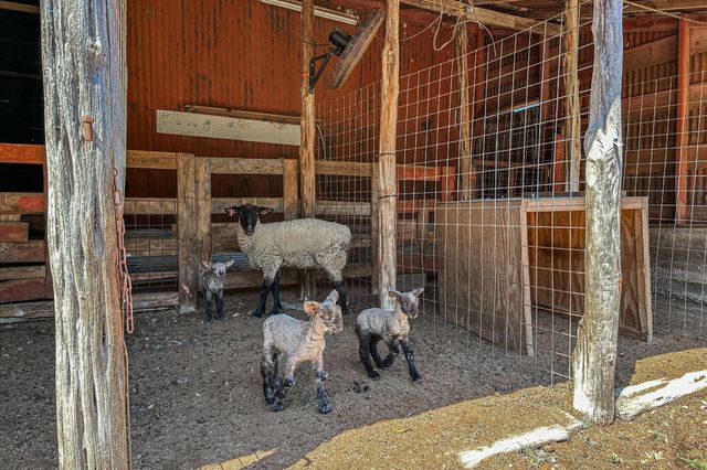 5421 PURGATORY RD, San Marcos, TX 78666