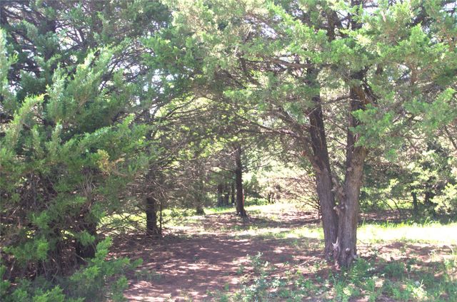 21.543 Acres W FM 120 Highway, Pottsboro, TX 75076